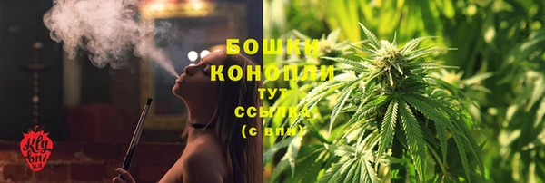 дурь Богородицк