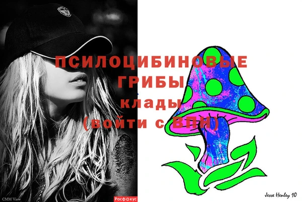 амфетамин Белокуриха