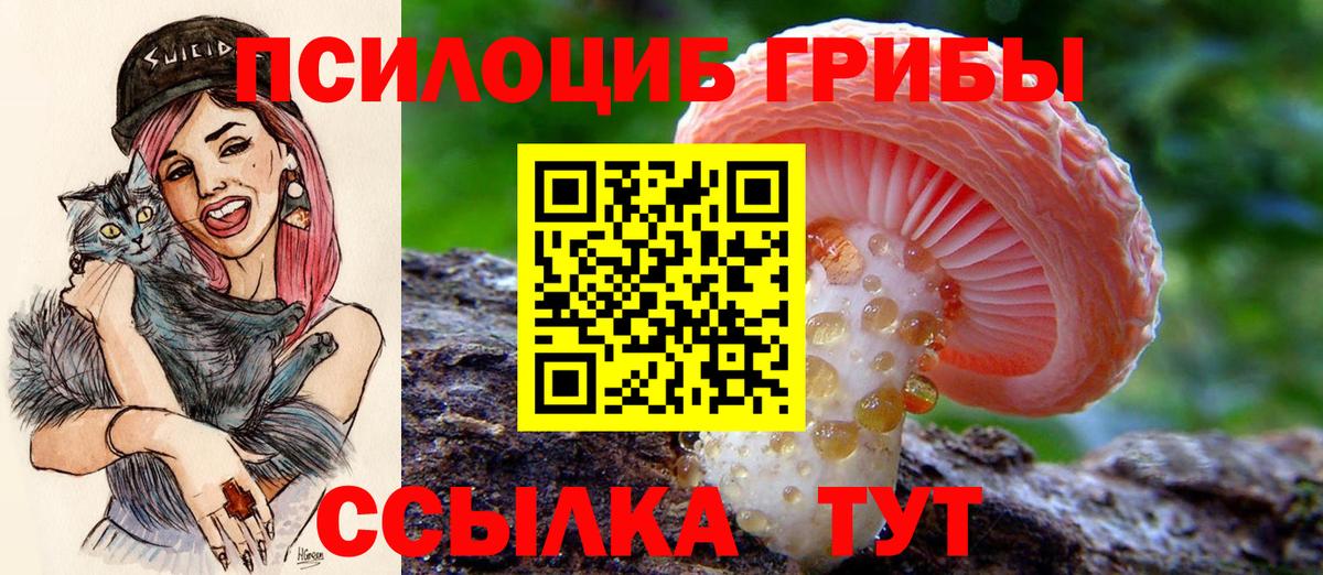 Псилоцибиновые грибы ЛСД  Псилоцибиновые грибы Cubensis  Вход с VPN  Верхний Уфалей 